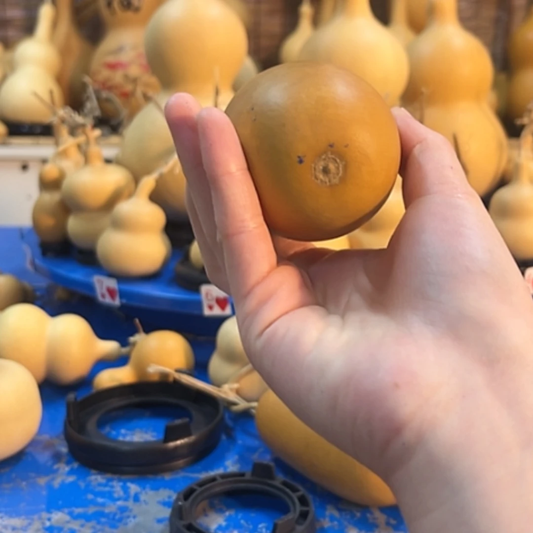 【闪购商品】快**鱼天天天天天天天天天天