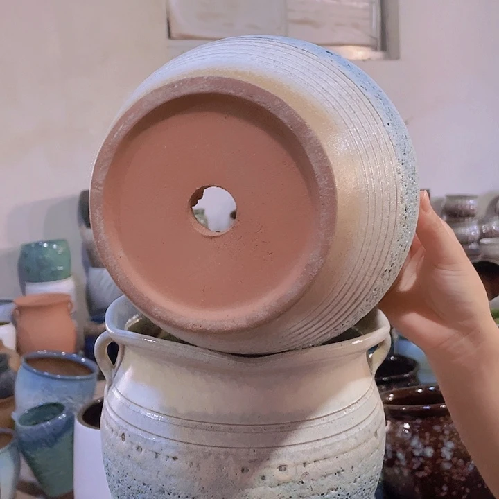 正品20/20两个处理