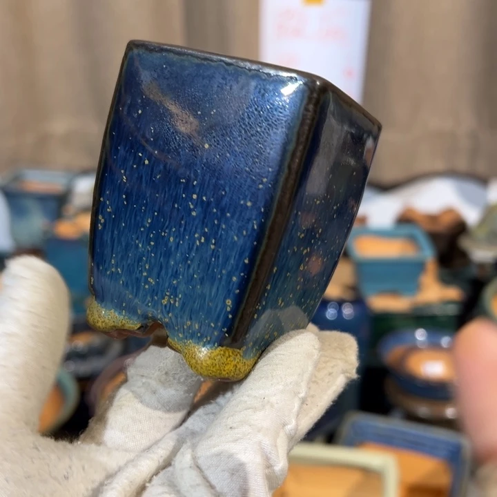 觉象花盆盆景盆盆栽