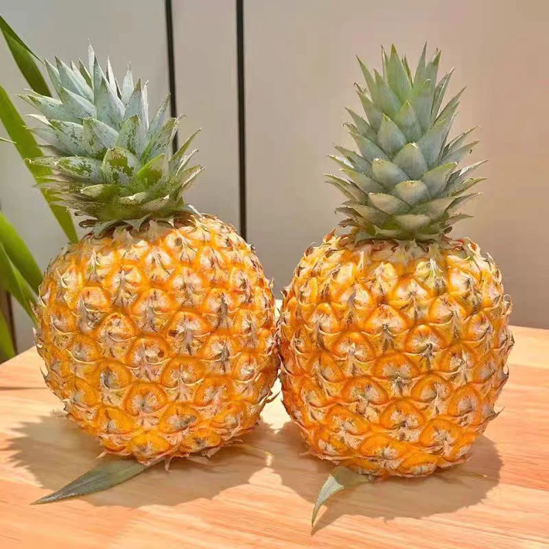 【香甜多汁】正宗海南芒果凤梨新鲜当季应季水果脆甜多汁5-10斤