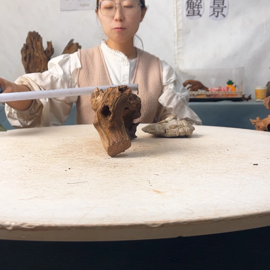 寄居蟹造景沉木造景