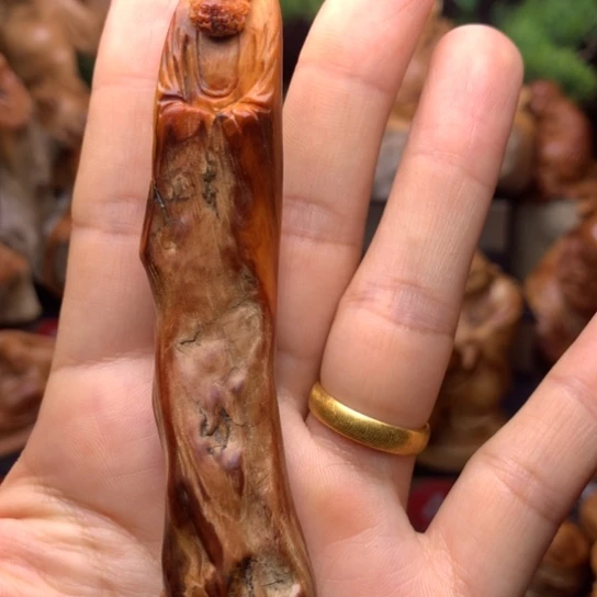 柏木（崖柏）林****影崖柏陈化