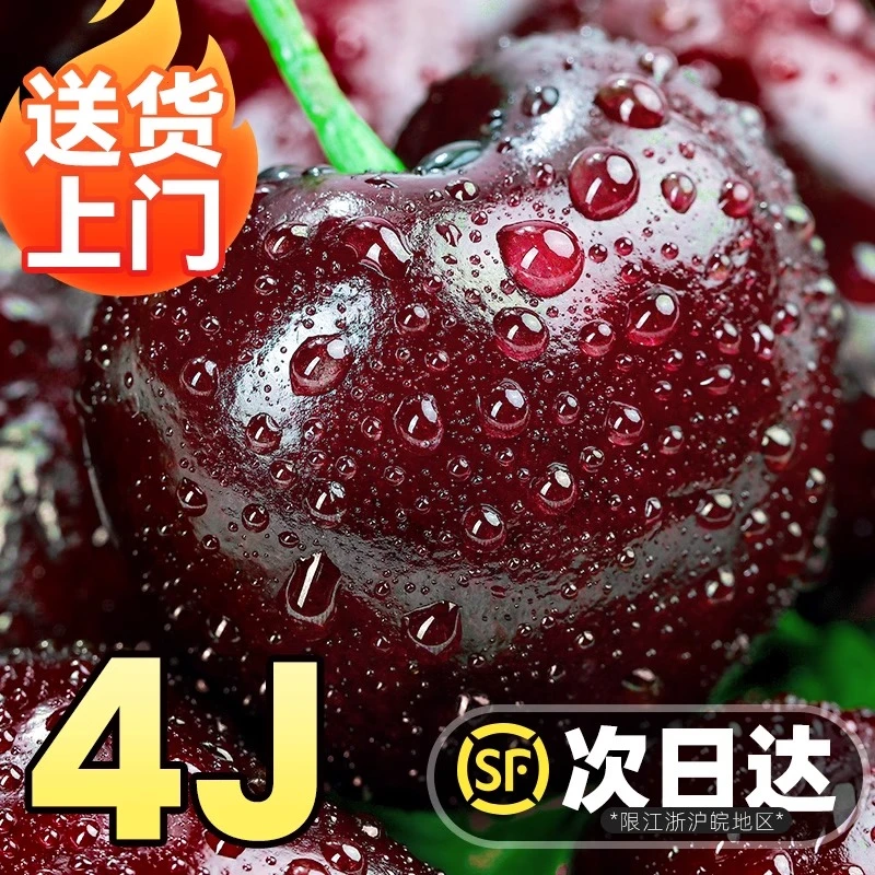 果王智利车厘子桑缇娜直发海运1.8-4.5斤新鲜采摘J-5J内附果径卡