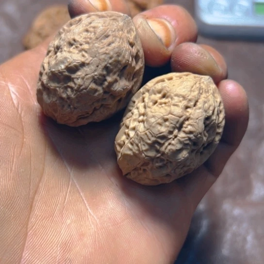 文玩核桃把件卡35尖屁屁21号