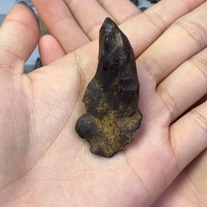 伟业香堂加里曼丹九分沉2.9克