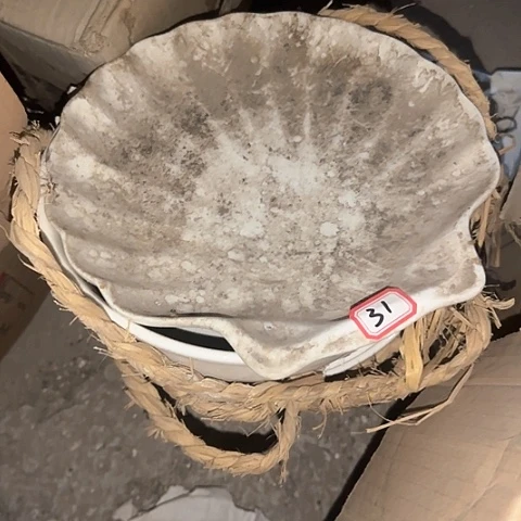 山***清瓷片国营厂库存微瑕23厘米31