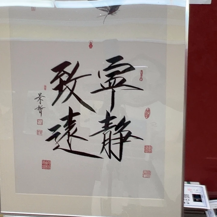 国画你你你你你你你