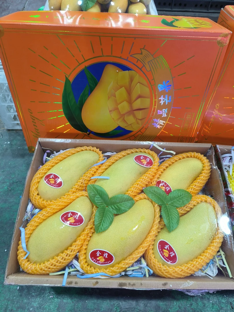 小美果业，精品海南金煌芒礼盒上市了，核薄肉厚纯甜口