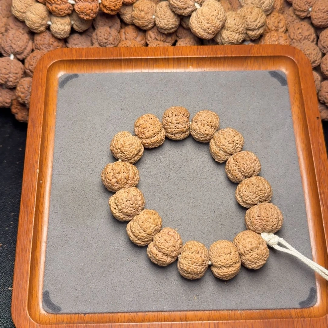 18号尼泊尔大金刚22五星熊猫不理你