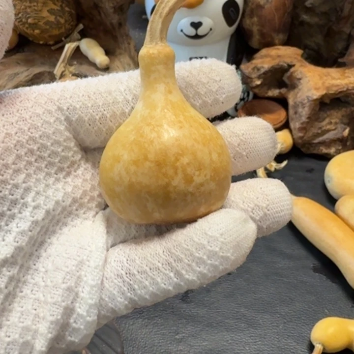 二***哥66666766666666666