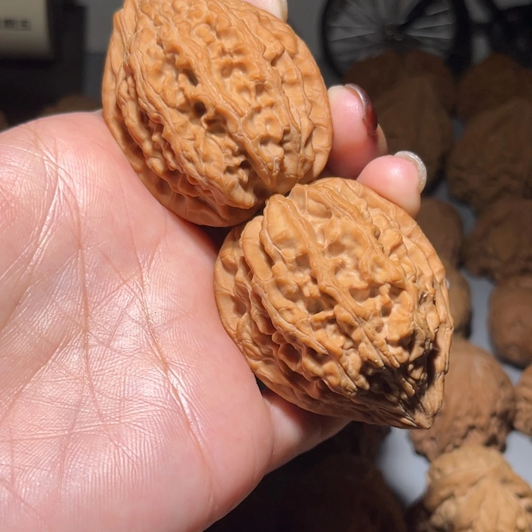 木质类大沽石42全品