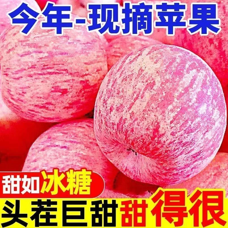 新鲜红富士苹果脆甜多汁营养丰富产地直发