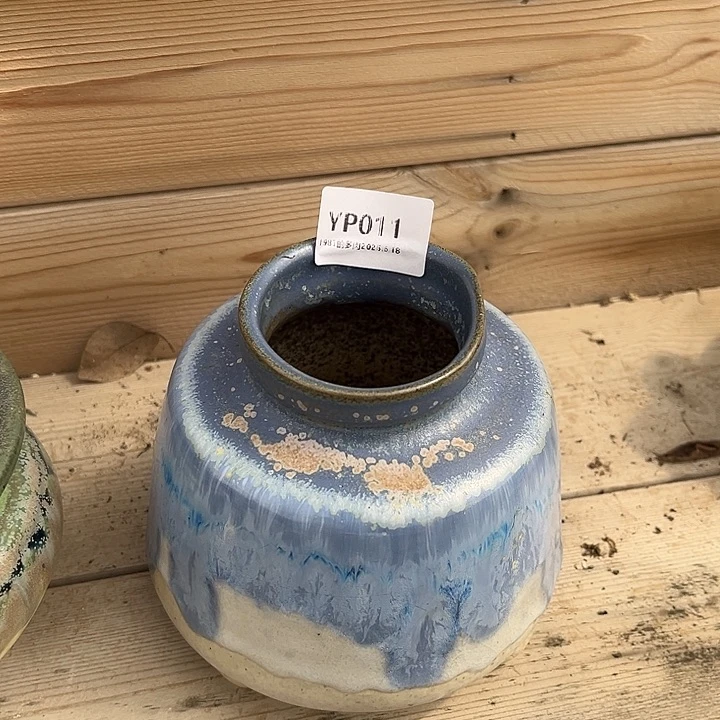 紫砂花盆大**洋YP011盆盆盆盆