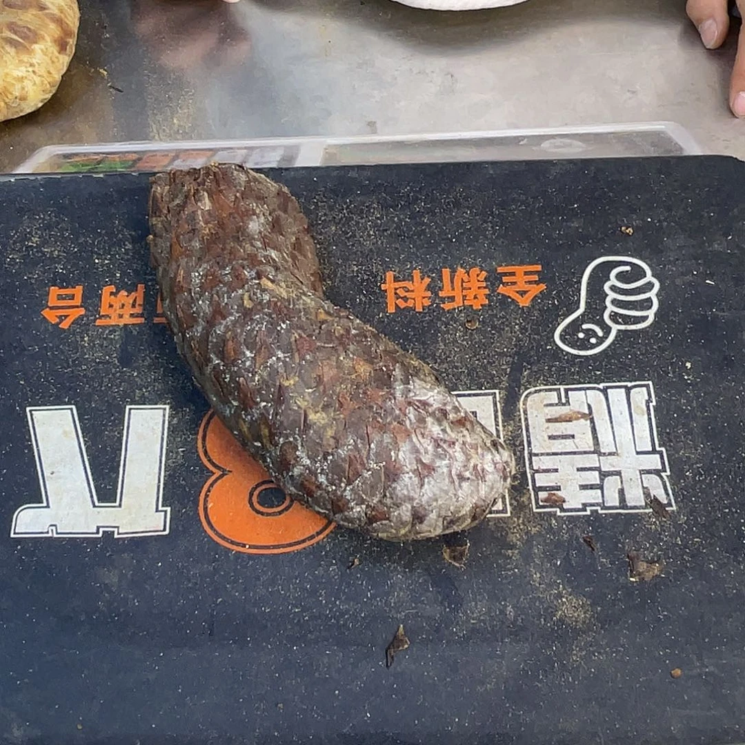 中国大陆330克油货17厘米