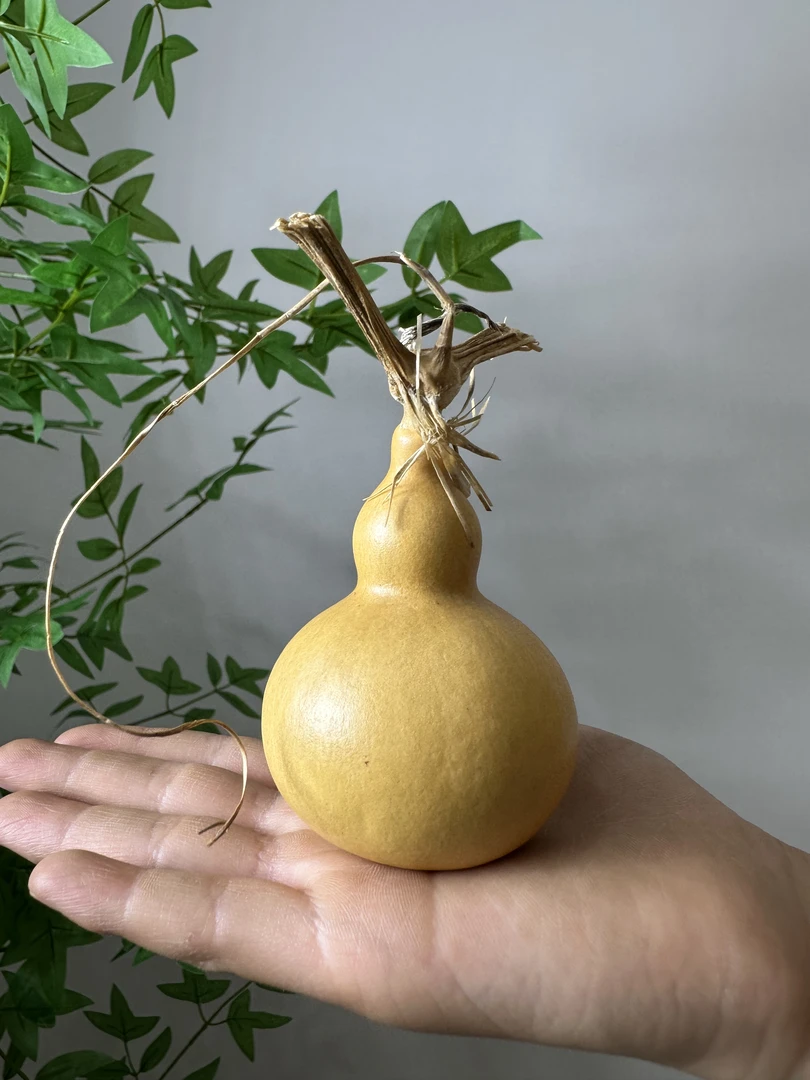 原生态原皮龙头小葫芦文玩把玩小葫芦随身携带福禄葫芦物件
