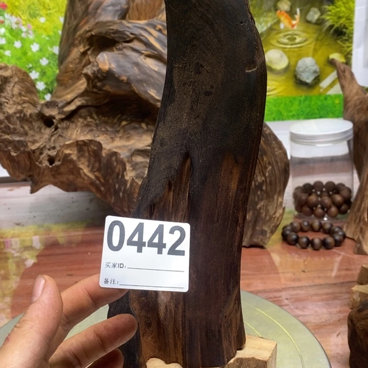 成***缘木我在外面吃饭呢你50