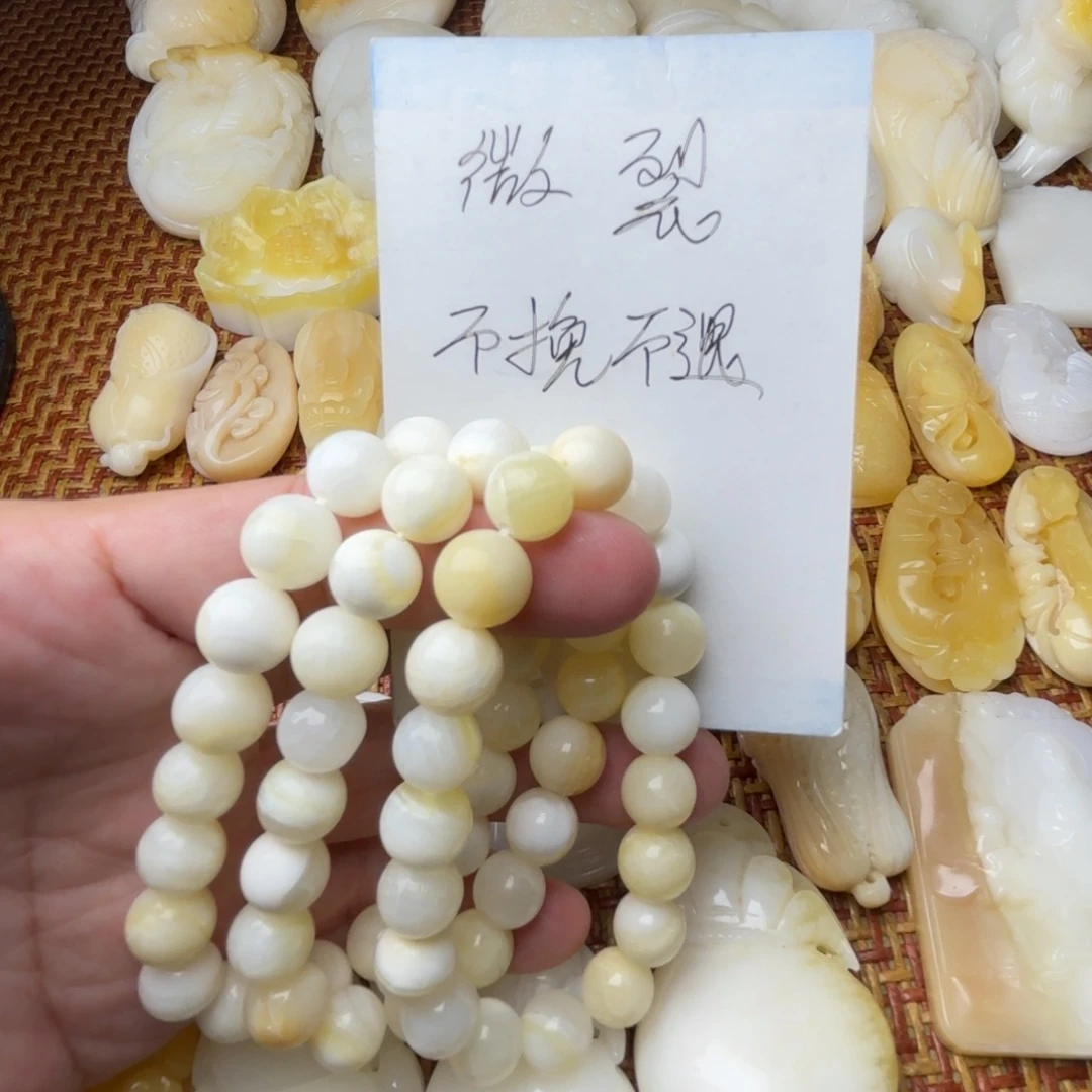 非金属贝壳天然贝壳