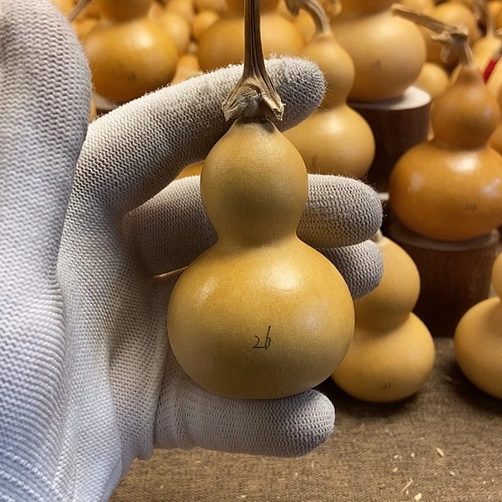 文玩葫芦 完美主义者 慎拍26