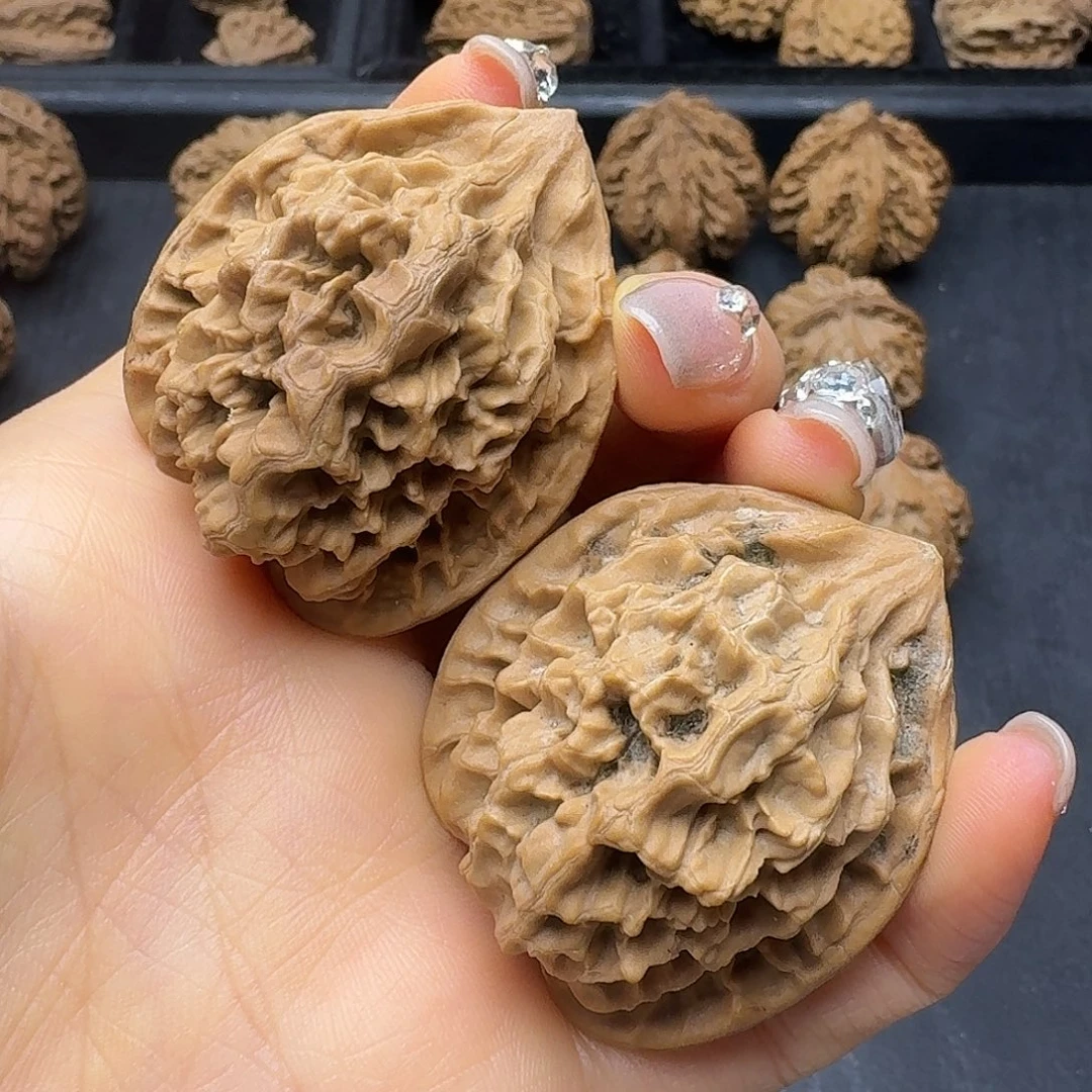 桃木突突突突突突