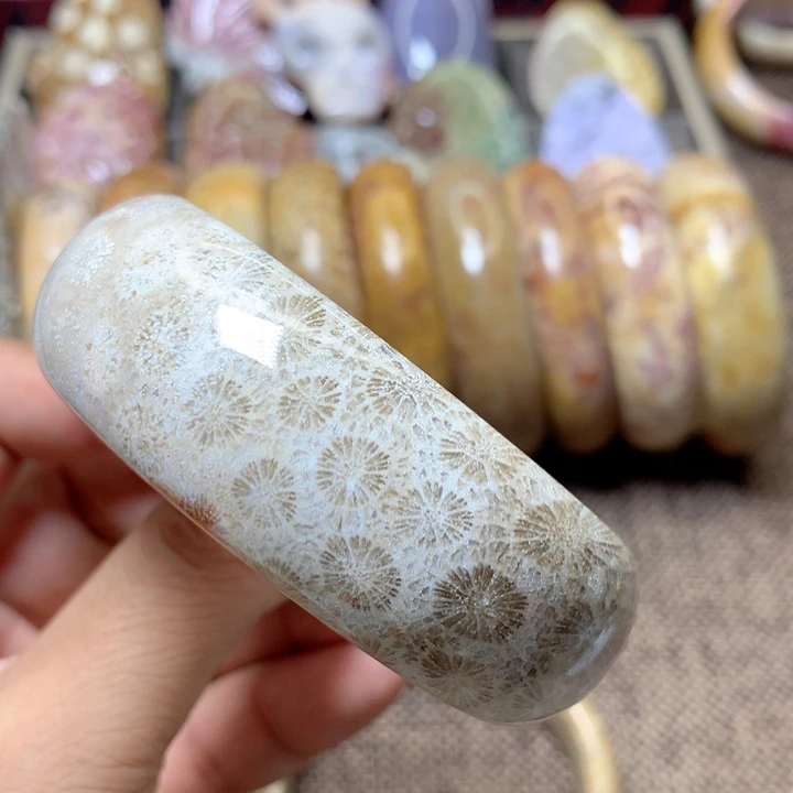 颈饰未镶嵌硅化珊瑚（珊瑚玉）N****9