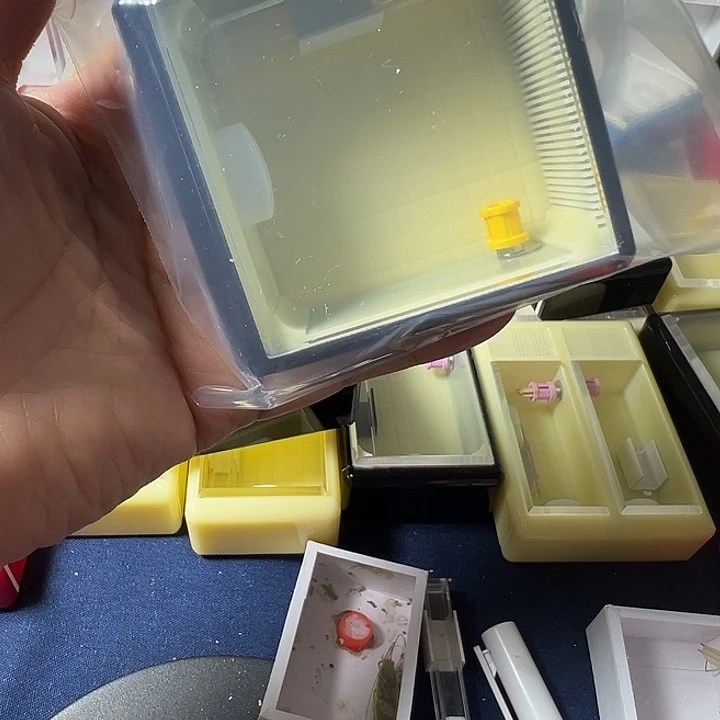 小***、蟋蟀哈哈哈哈哈哈哈哈哈哈