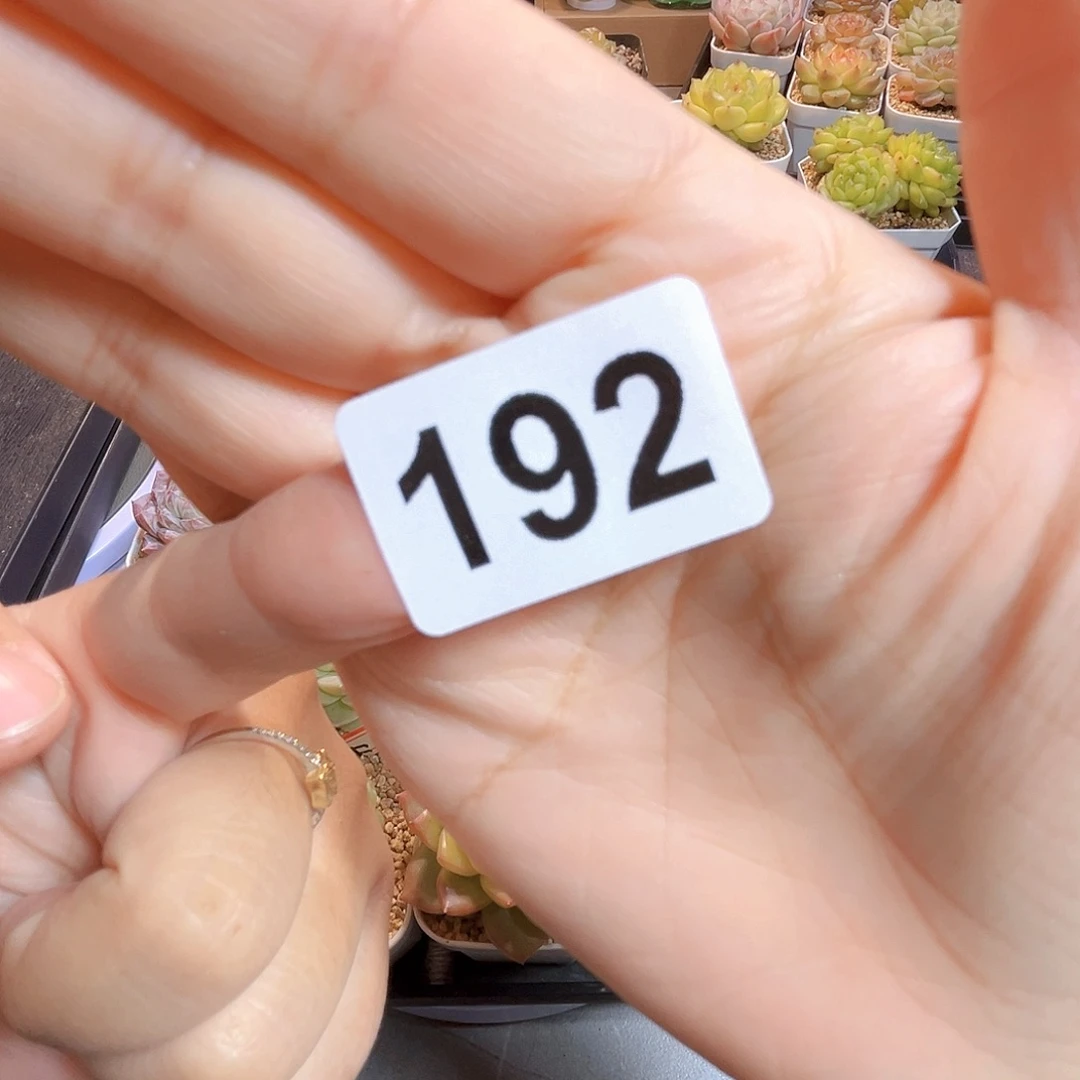 何***包192一物一拍 打包6个