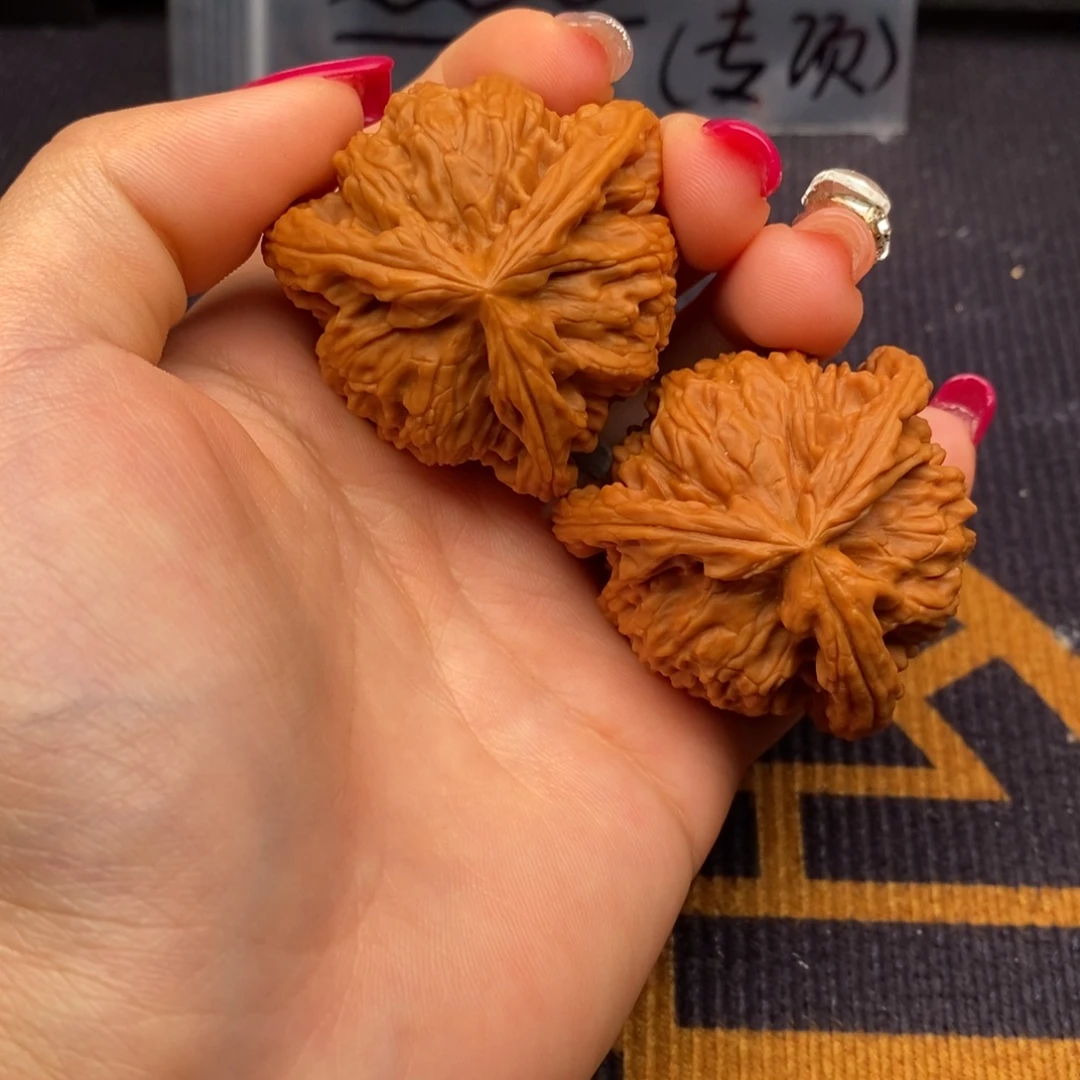 张***涵文玩核桃把件白狮子