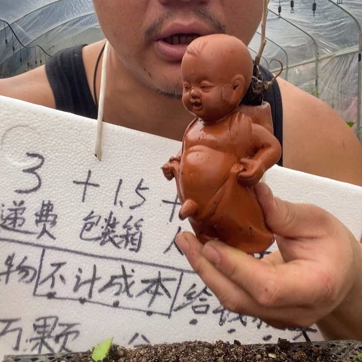 退款拉黑一物一拍1