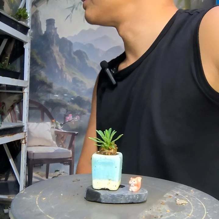 小*梅中青园艺一物一拍193