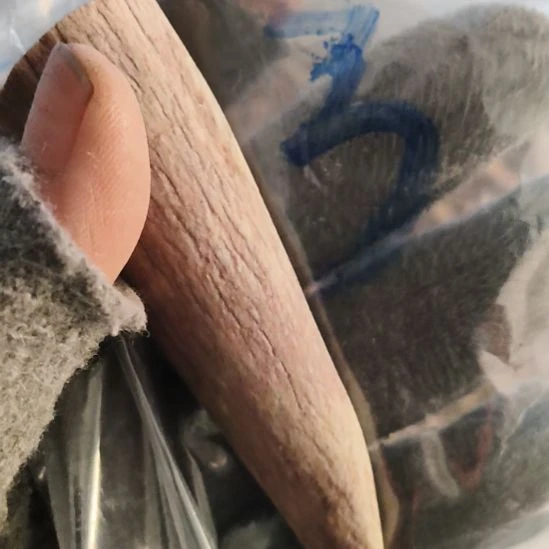 阿***本鹿角鹿角鹿角鹿角鹿角鹿角