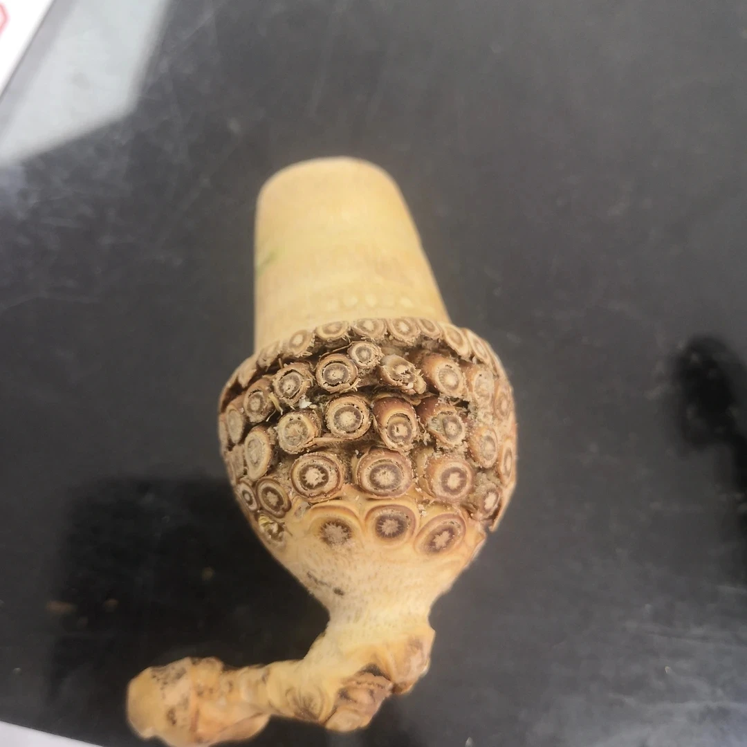 竹根直播间一物一拍