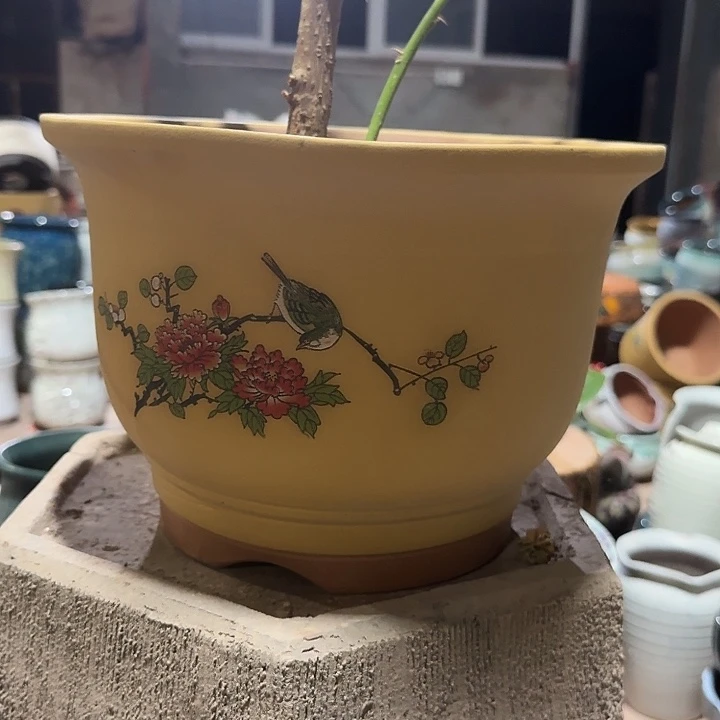 口径28高度19花盆