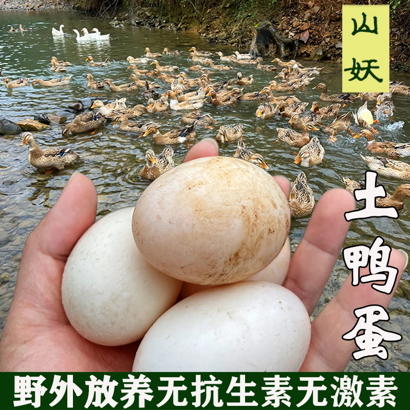溪水放养土鸭蛋正宗生态散养麻鸭蛋农家新鲜鸭蛋纯粮食喂养生鸭蛋