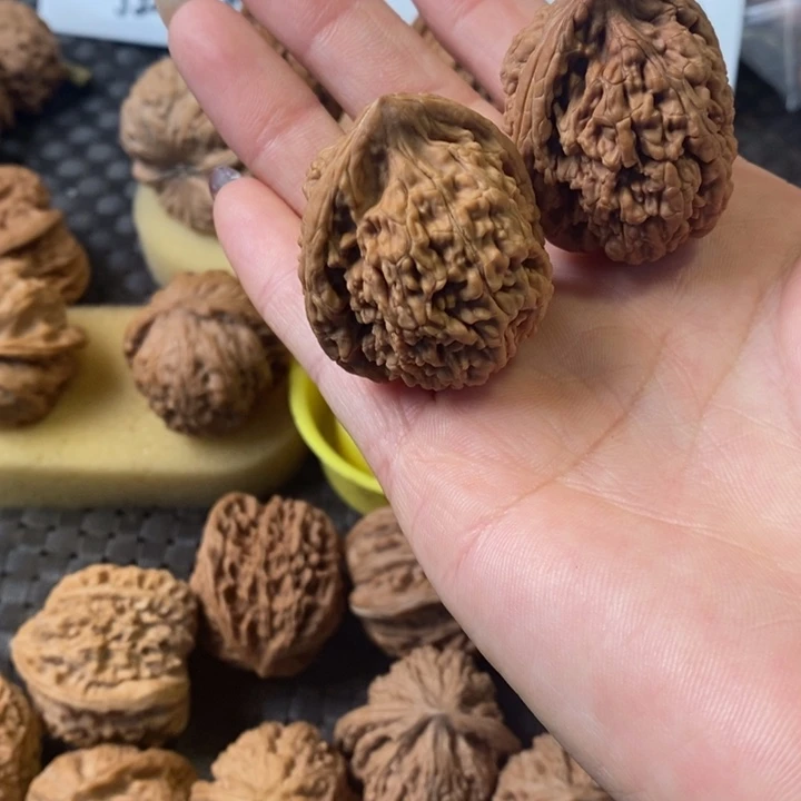 欧****饰蚂蚁王蚂蚁王蚂蚁王