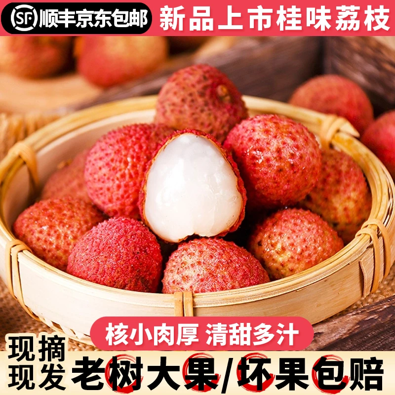 【顺丰包邮】高州老树桂味新鲜荔枝皮薄肉厚现摘现发保鲜发货