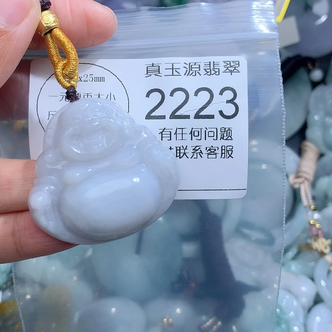 翡翠颈饰未镶嵌2223。
