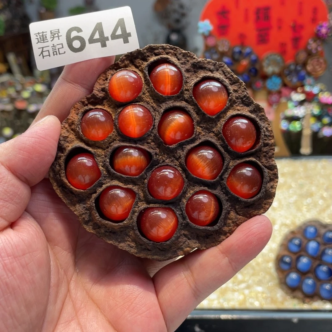 核桃木/黑胡桃（胡桃木）644