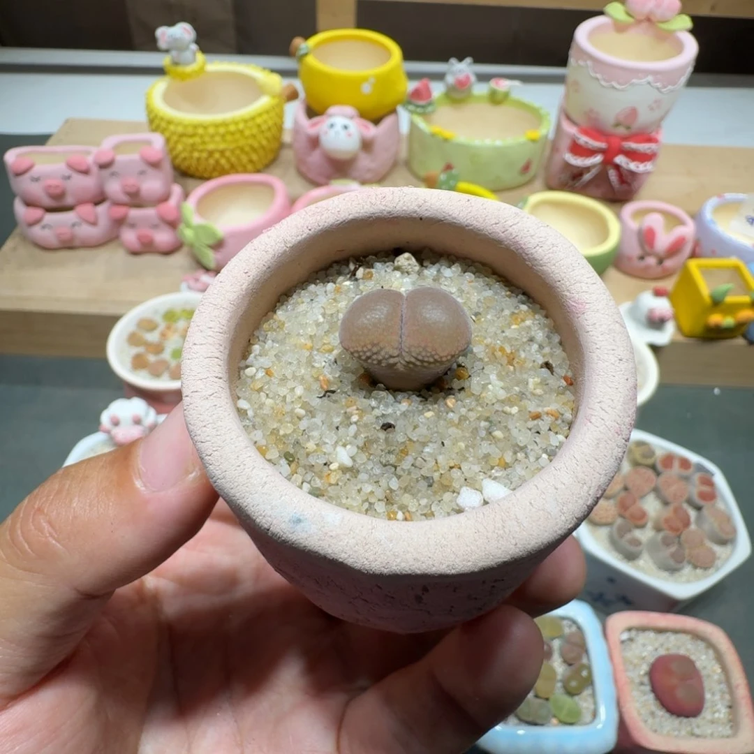 蘑菇312日系风铃日系