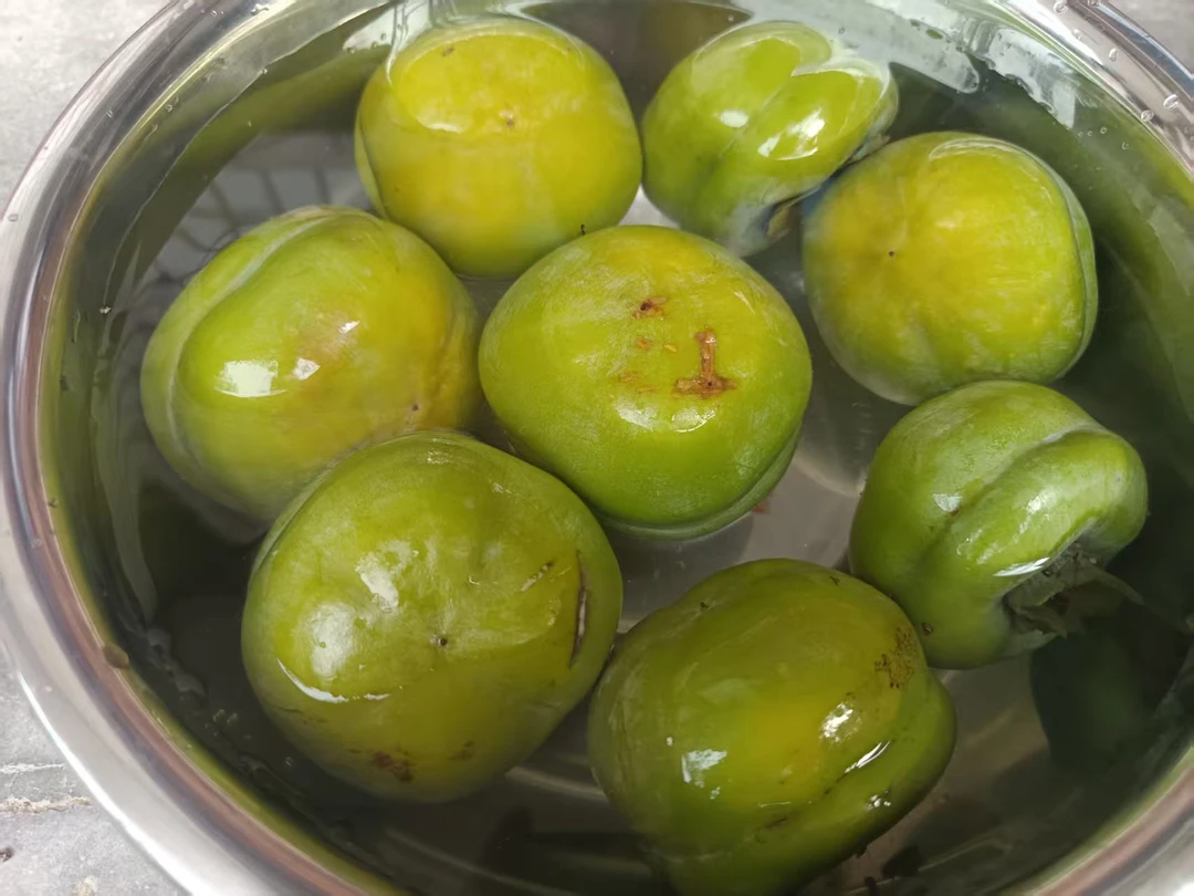 制作懒柿子原料青柿子磨盘柿脆柿子