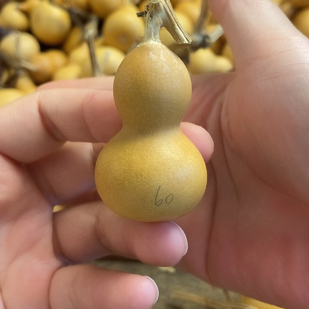 文玩葫芦 完美主义者 慎拍60