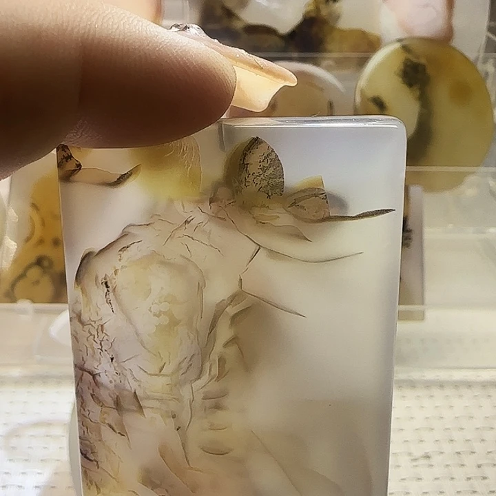 玛瑙/玉髓未镶嵌珠宝奇石