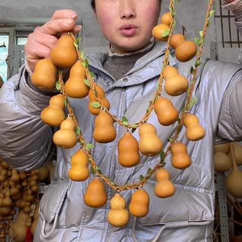 天然植物葫芦文玩