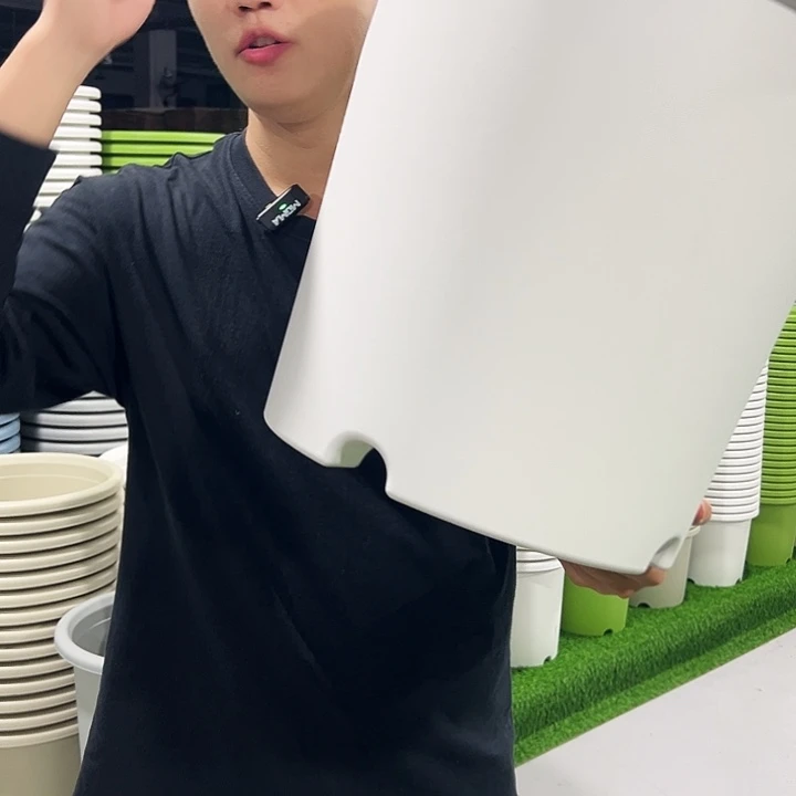 特价8号口39高37白色5只无托