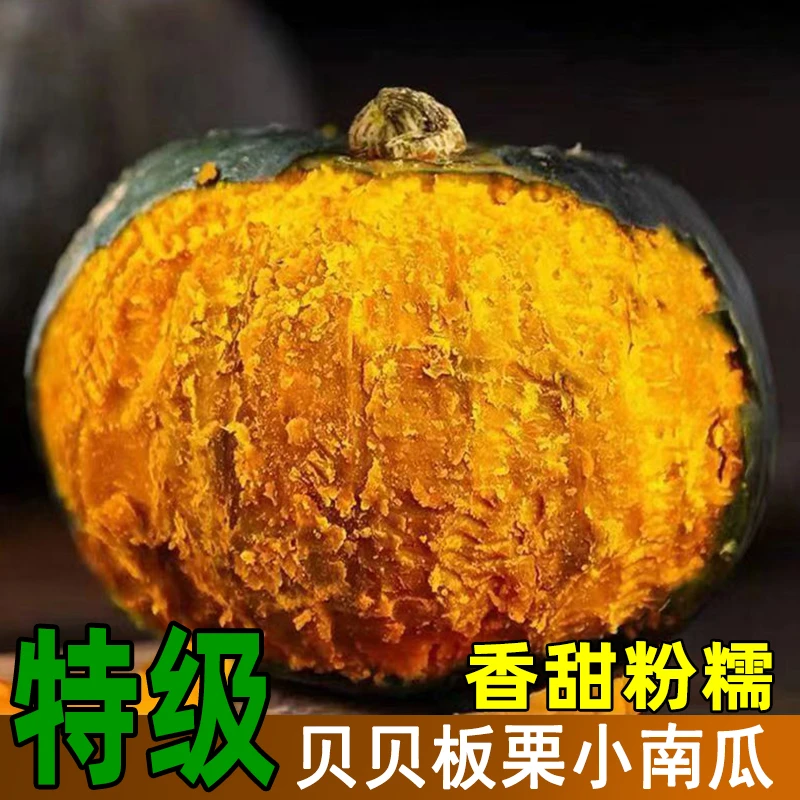 正宗贝贝南瓜板栗味小南瓜 当季新鲜采摘 粉糯香甜宝宝辅食礼盒装