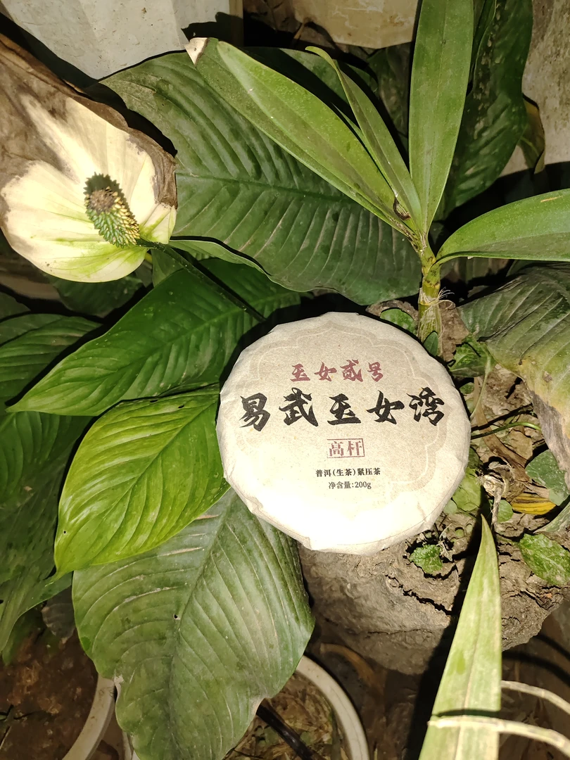 2016年易武玉女湾 玉女2号高杆普洱生茶饼200克M14号