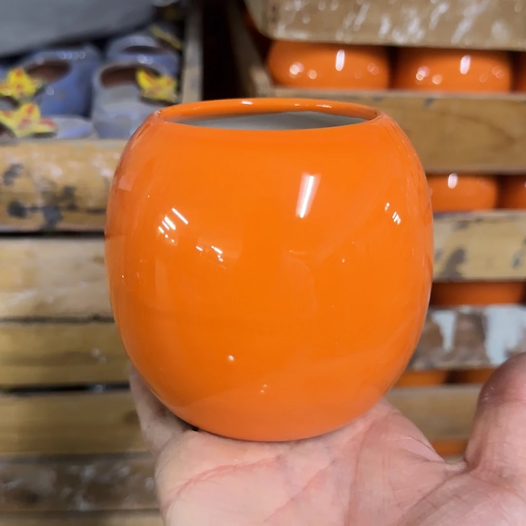 福利局绿植多肉盆［凑9元包邮24小时发］