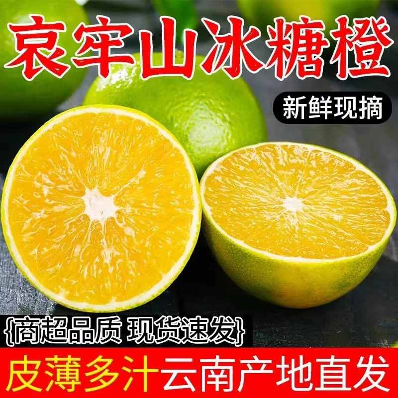 【无花斑】正宗云南哀牢山冰糖橙新鲜现摘清甜多汁青皮手剥孕妇水果