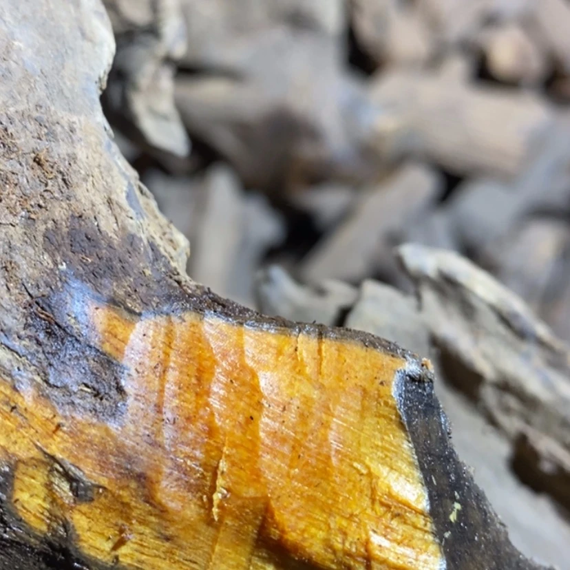 【闪购商品】把件贡木一**玩私人订制m