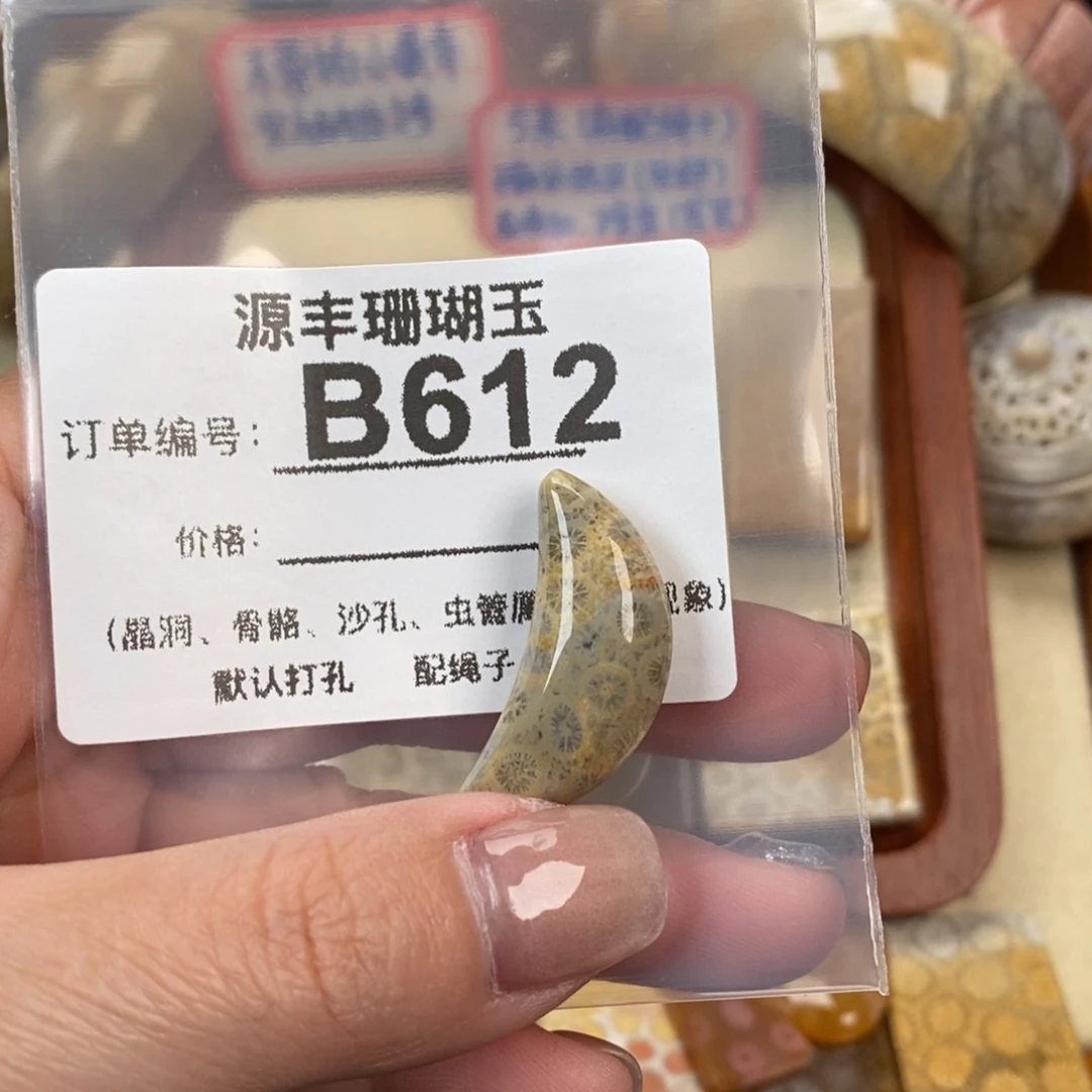 硅化玉颈饰未镶嵌萤****`