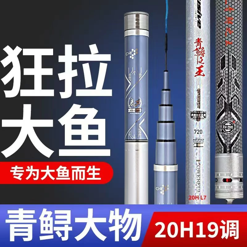 新品青鲟系列超硬20h大物杆巨物版黑坑标塘青鱼鲟鱼大物版